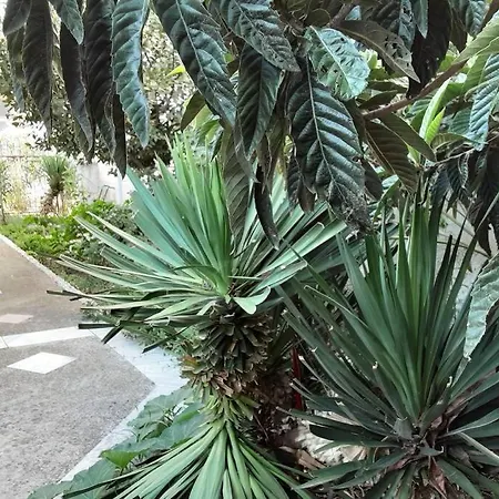 John Actors Semesterbostad *