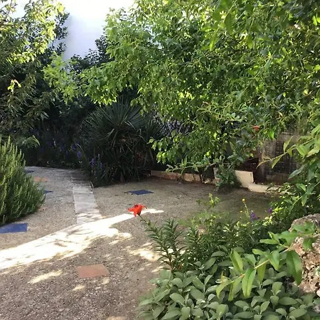 John Actors Casa de Férias *