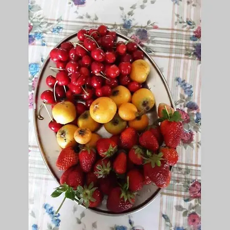 Tatil Evi John Actors *