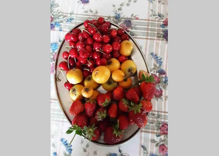 Casa de Férias John Actors *